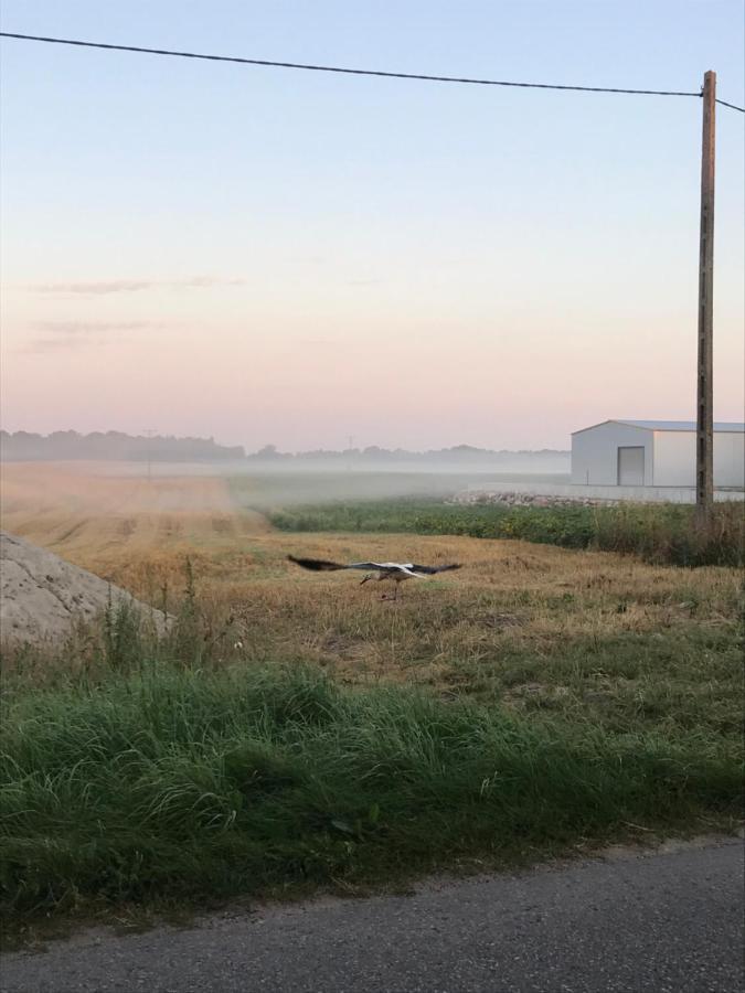 Mazur 35 Leilighet Szyldak Eksteriør bilde
